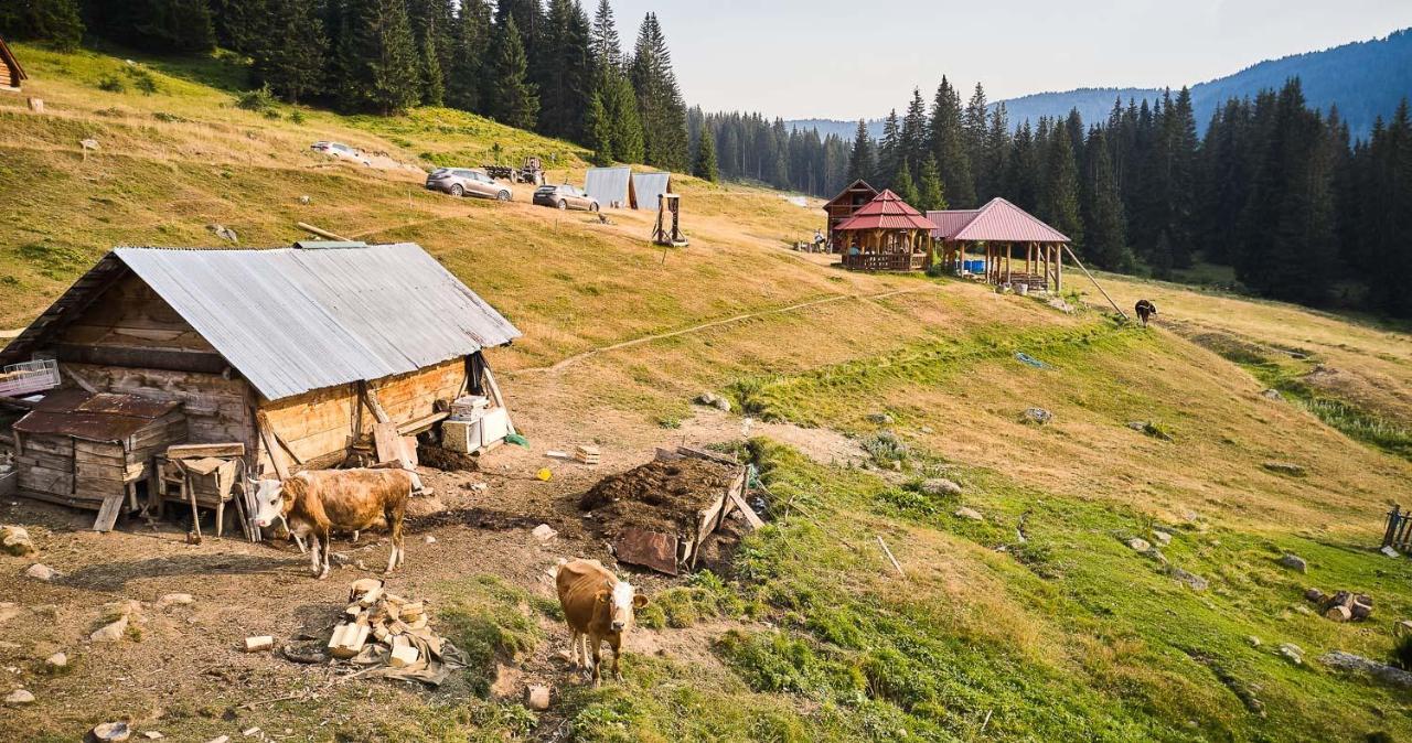 Samel'S Cottage Hrid'S Lake Prokletije Плав Екстериор снимка